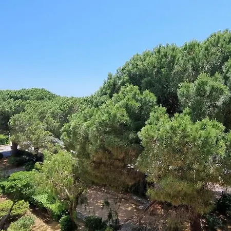 La à * Bormes-les-Mimosas